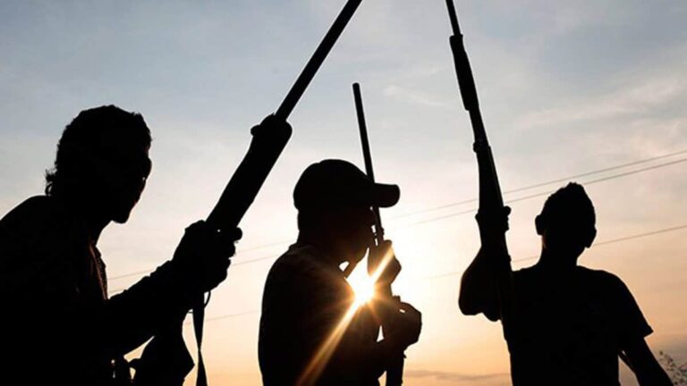 Gunmen assassinate Adamawa lawmaker, injure son