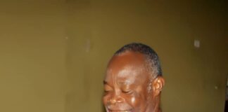 Use monarchs to boost democracy and peace in Nigeria - Forum