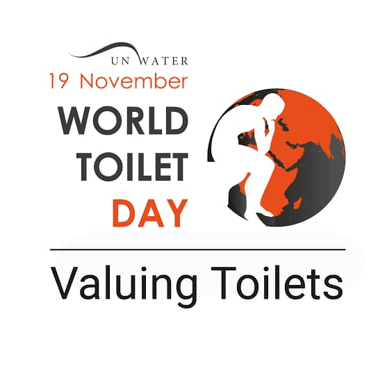 World Toilet Day: The global sanitation crisis, a gloomy picture of the urban environment, by Sulaiman Ahmad Muhammad