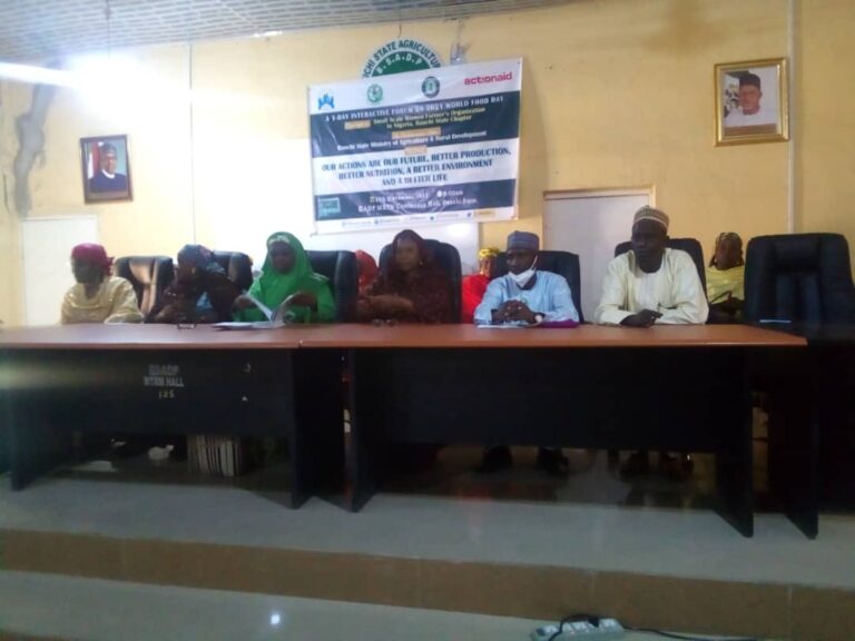 Women farmers task Bauchi gov't on national agricultural gender policy