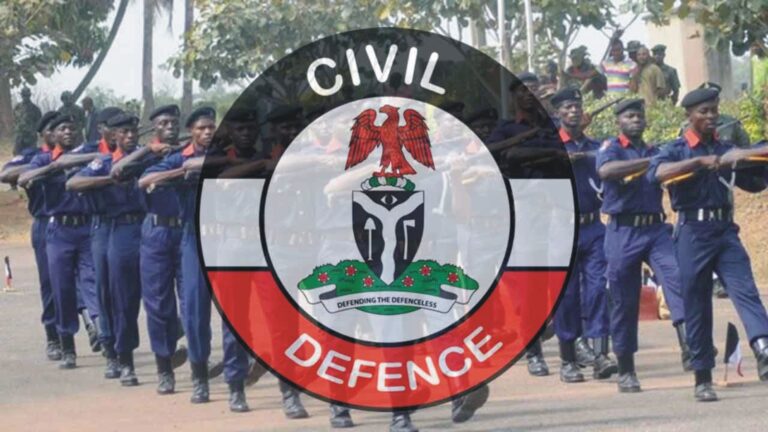 World Civil Defence Day: NSCDC sensitises Yobe residents on security