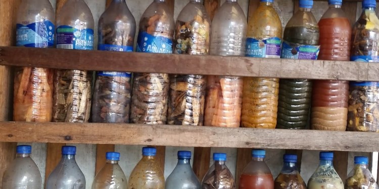 Herbal concoctions with bacteria can kill humans, NAFDAC warns 