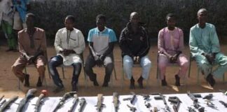 Police arrest 245 in a raid on suspected criminals hideouts in Kano