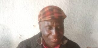 Nigeria’s electoral issue not direct primaries but transmitting election results electronically - Ex-Plateau Speaker