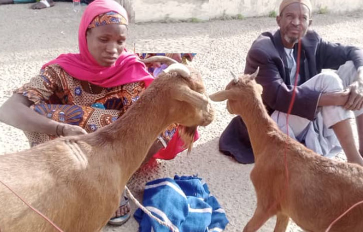 NSCDC arrest 35-year-old woman, 50-year-old man for stealing goats