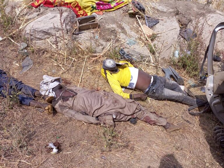 Seven killed, two injured in Bauchi road accident. Seven killed, two injured