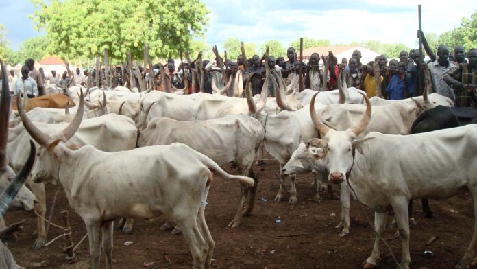 KACRAN lauds PMB, Gov. Buni for livestock grazing reserve project