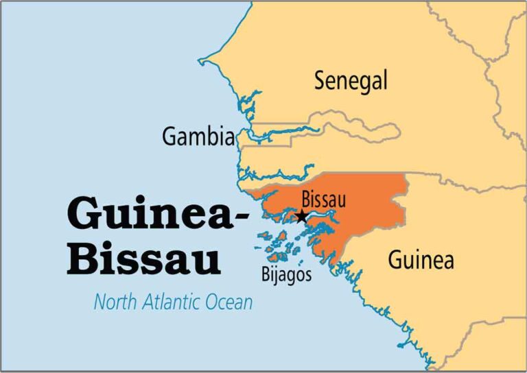 Coup scare in Guinea Bissau as heavy gunfire hits presidential palace