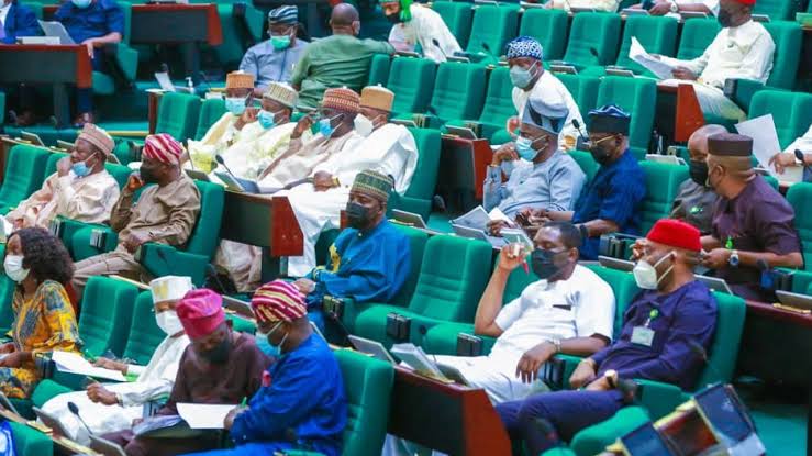 Reps mandate Army Chief, IGP to probe killings of Mbaise indigenes in Imo