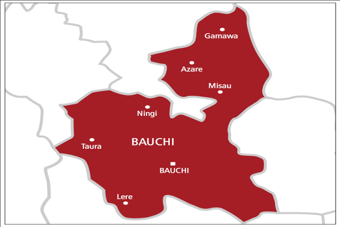 Bauchi gov’t to distribute 4.4 million mosquito nets to residents – Official