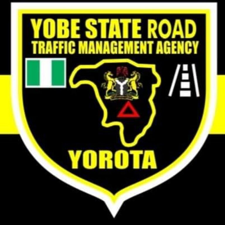 Suspected criminal disguise as taxi driver in Damaturu – Yobe traffic agency warns residents