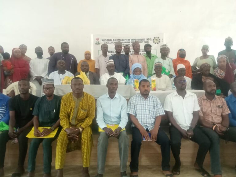 NDE, NIRSAL train graduates on entrepreneurship skills in Bauchi