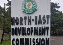 Beneficiaries allege irregularities in NEDC’s youth empowerment programme