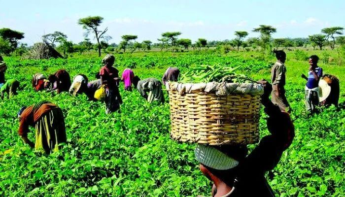 138 benefit from NDE agric loan scheme, training in Plateau