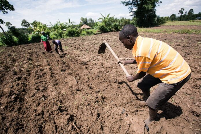 Rain: Expert cautions farmers against early planting in Bauchi