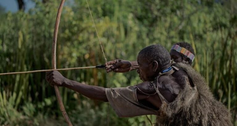 I saw an antelope and shot it, i was surprised when i met the Imam on the ground – Hunter