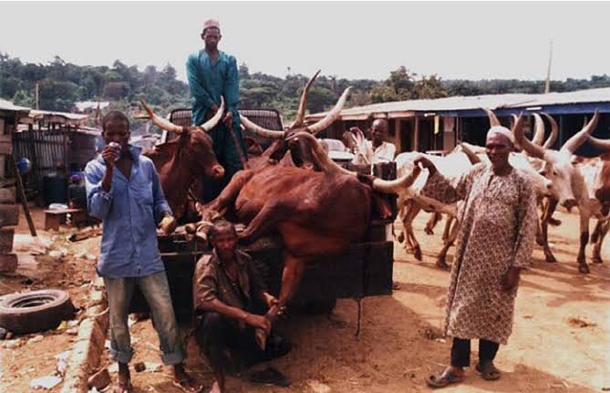 BREAKING: 3 die as bomb explosion rocks cattle market in Taraba