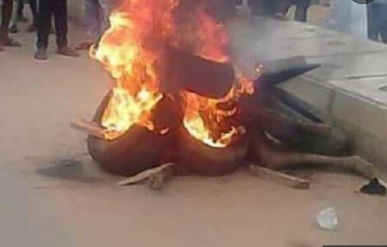 2 suspected armed robbers set ablaze in Benue