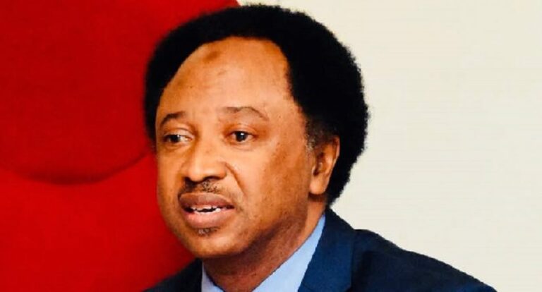 ASUU Strike: Don’t protest naked - Shehu Sani advises female students