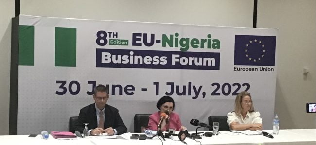 EU partners FGN on infrastructure, security