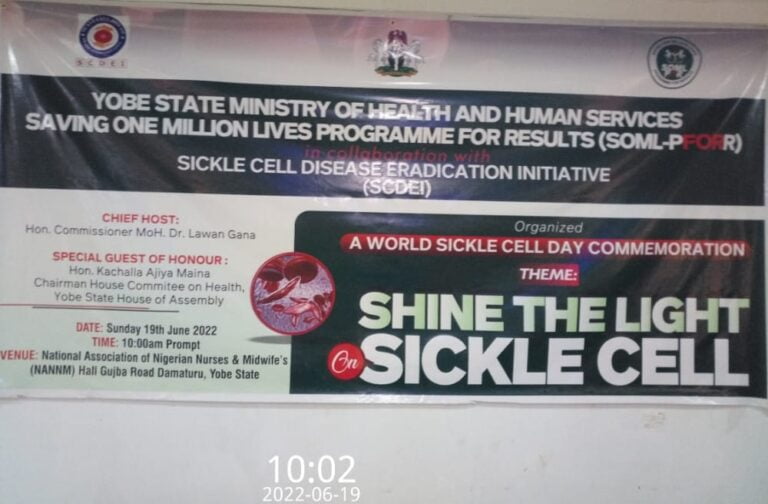 Yobe gov’t commemorates Sickle Cell Disease Day to boost awareness