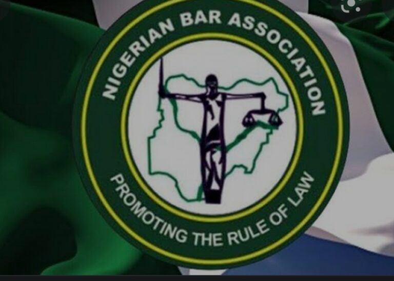 Barristers Kigbu, Gayam, others elected NBA exco members in Nasarawa