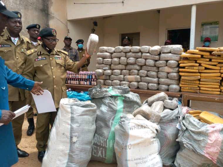 NDLEA arrests 160 suspects for drug-related offences in Yobe