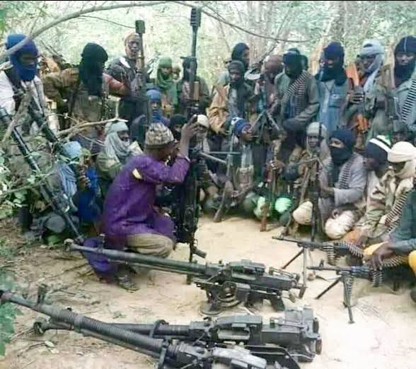 Former director, 50 persons kidnapped as insurgency surges in Niger