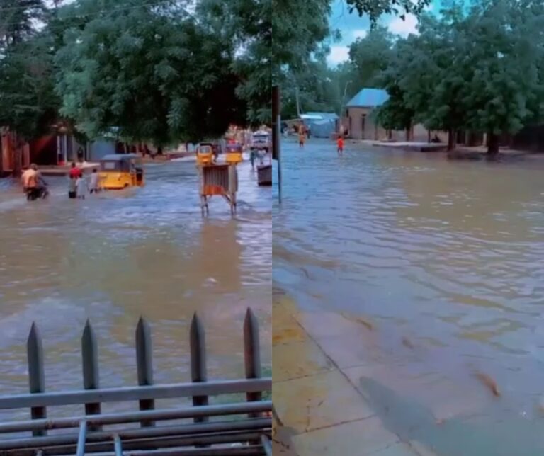 Flood ravages communities in Gombe as NEMA identifies 233 LGAs as flood-prone in 32 states (Video)