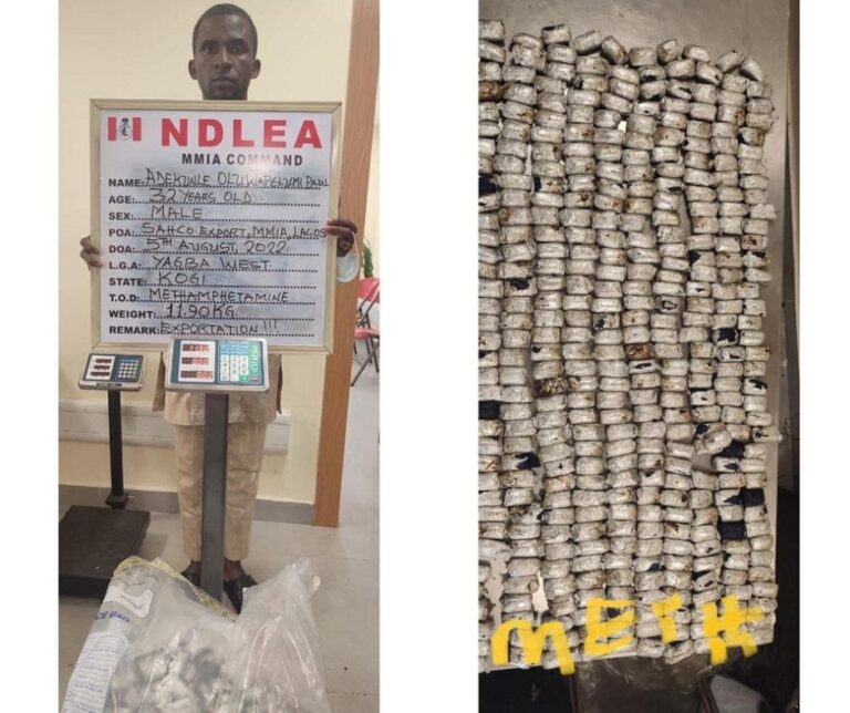 NDLEA uncovers 442 parcels of Crystal Meth in heads of smoked fish in Lagos