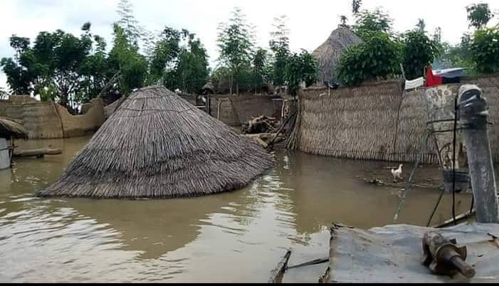 Adamawa Assembly wants state, LGs to provide relief materials for flood victims