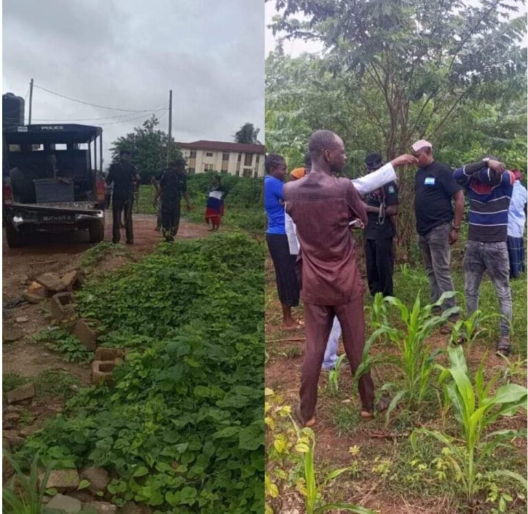 Lifeless body of missing 65-yr-old woman found on her farm