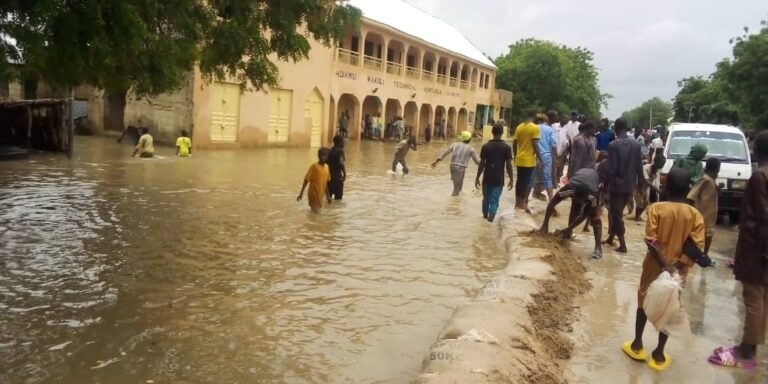 Flood displaces thousands in Jigawa communities