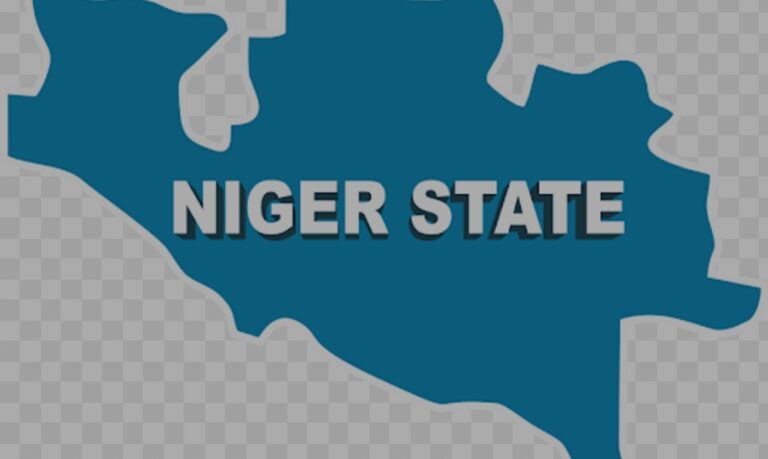 Man flees after killing father for marrying 2nd wife in Niger