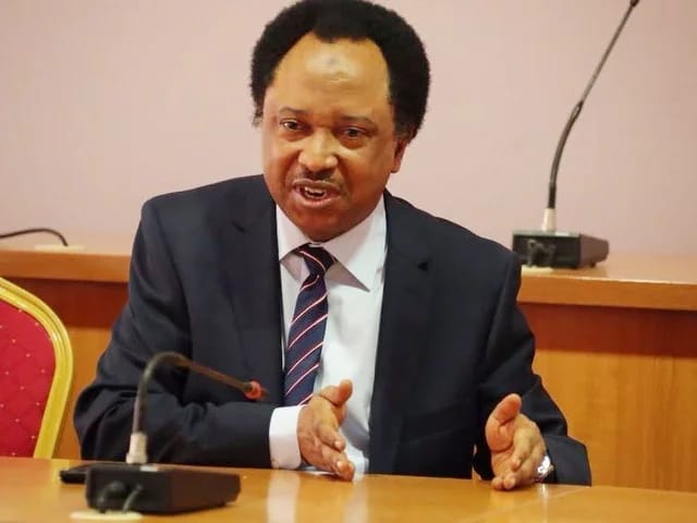 Start from yourselves – Shehu Sani tells Govs asking Buhari to sack workers above 50