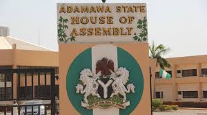 Bill to mandate intending couples, drivers, politicians, others undergo drug tests passes second reading in Adamawa