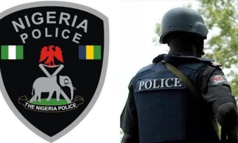 Police in Adamawa arrest 39 suspects for various crimes