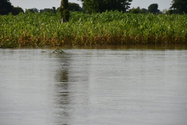 Flood kills three, destroy 1400 houses in Bauchi