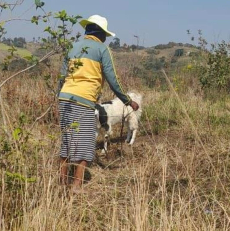 Man beaten to death for allegedly raping a goat