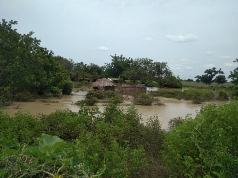 Flood kills 10, destroys farmlands in 12 Bauchi LGAs (Photos)