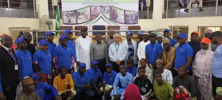 IITA trains 395 Adamawa, Borno youths in skills acquisition