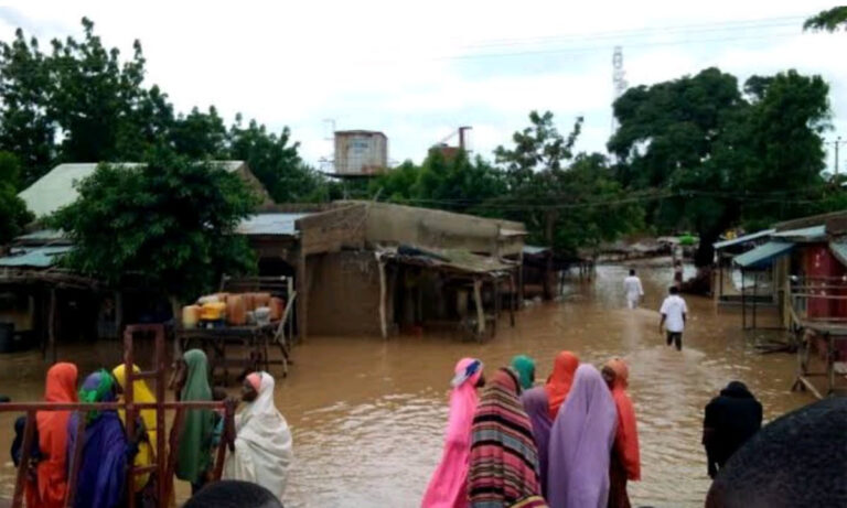 Flood: Jigawa govt establishes 13 IDP camps, seeks help