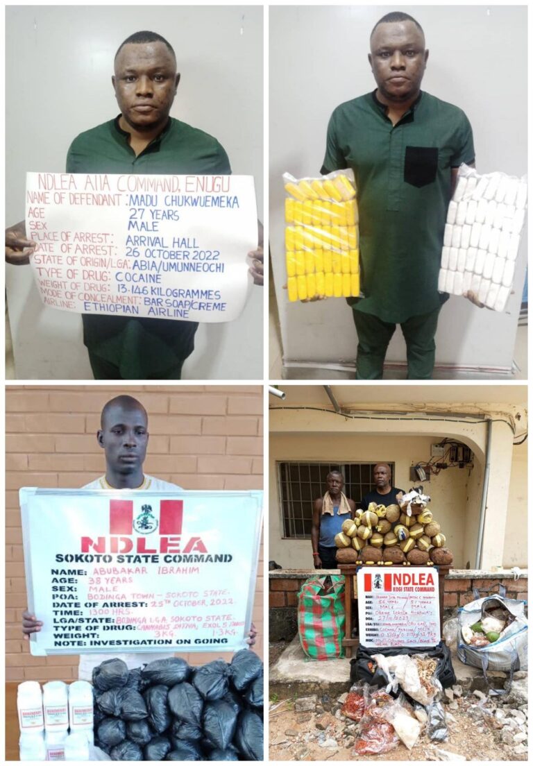 Sokoto village head, others arrested for drug trafficking