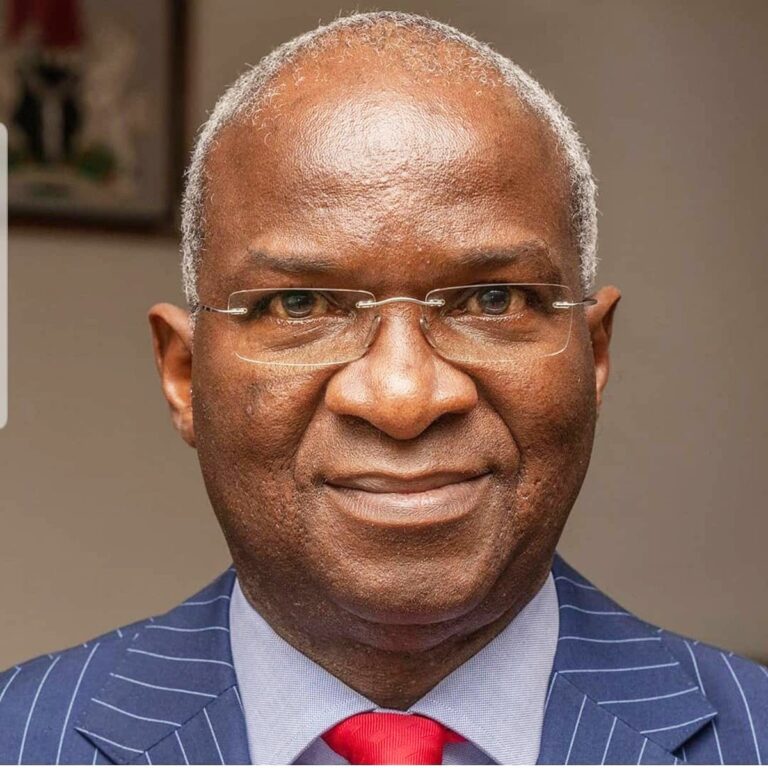 Second Niger Bridge completed, to open for use soon – Babatunde Fashola