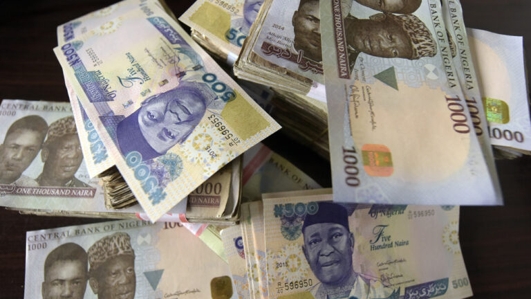 Terrorists share bundles of old naira notes to commuters in Borno