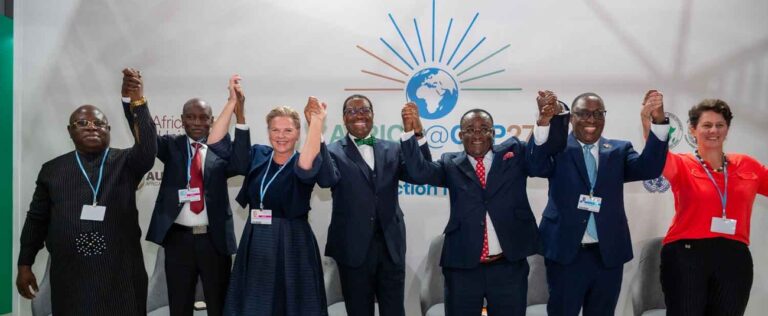 COP27: African ministers explore ways to boost food production, resilience