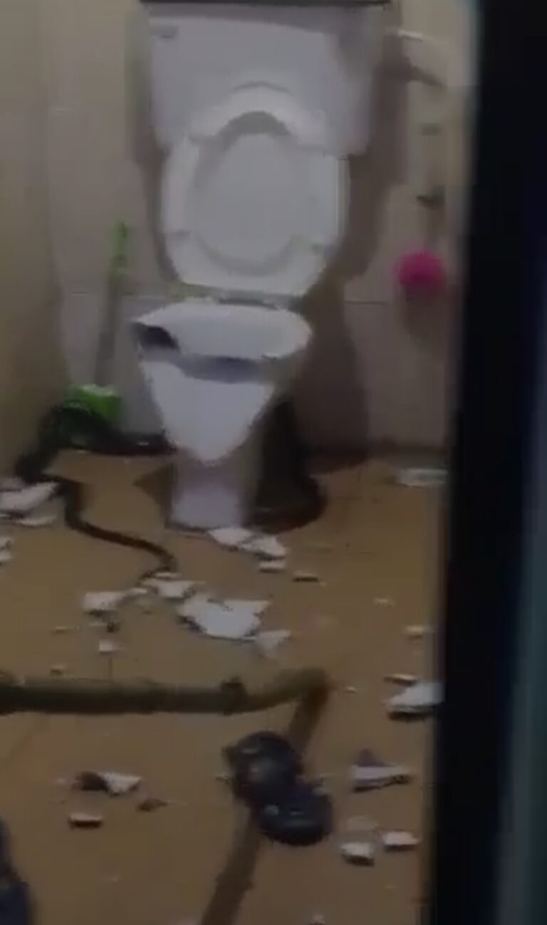 How unsuspecting man saw, killed snake in his toilet (Video)