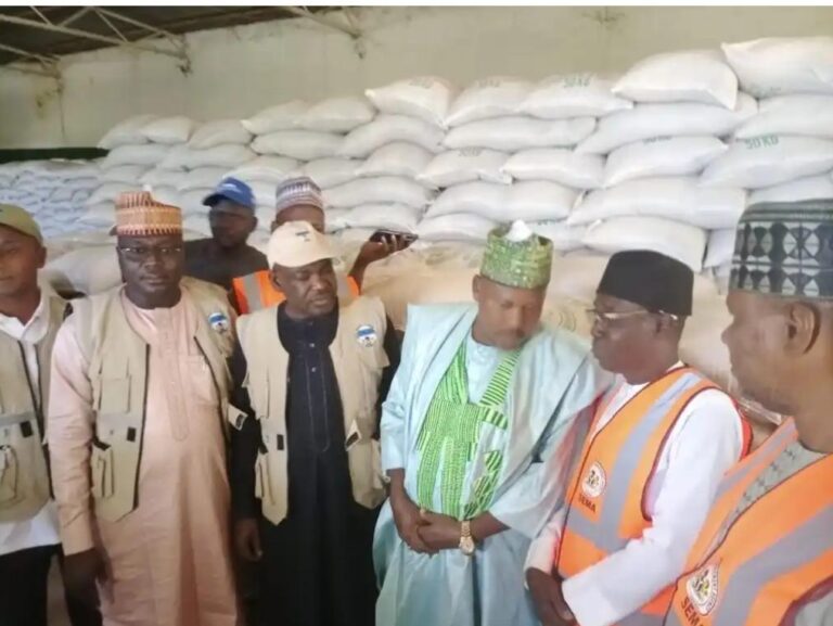 NEMA donates 7,415 bags of grains, other relief items to flood victims in Kano