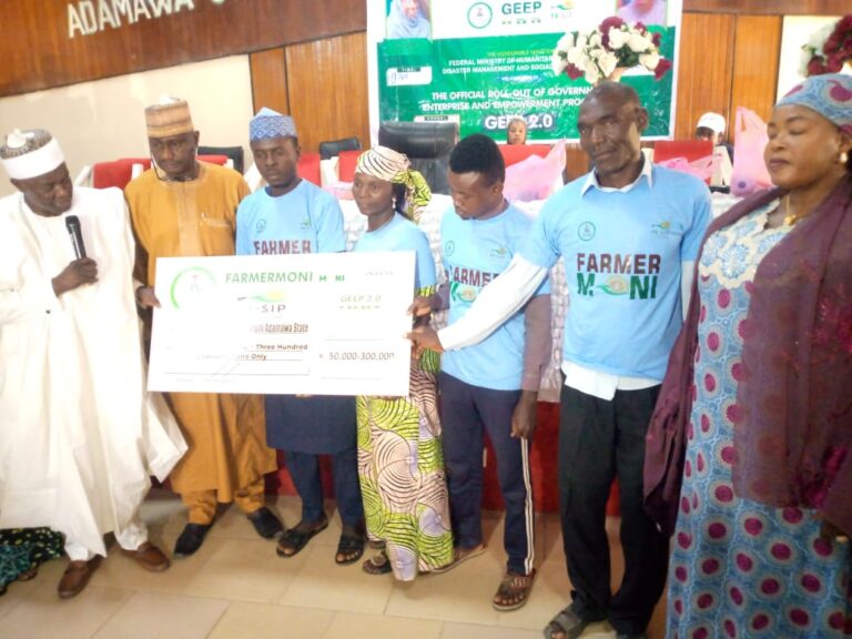 FG empowerment project targets 10, 134 beneficiaries in Adamawa