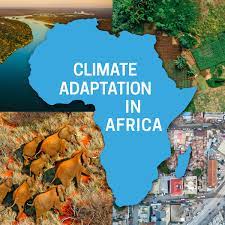 Africa facing crisis in funding for climate adaptation – Report